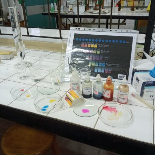 determinacion de ph